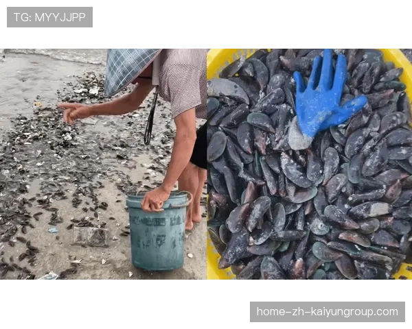 台风后惠州赶海火爆,海鲜成热点话题,惠州赶海时间表2020 台风后惠州赶海火爆,海鲜成热点话题,惠州赶海时间表2020